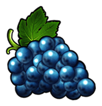 grapes